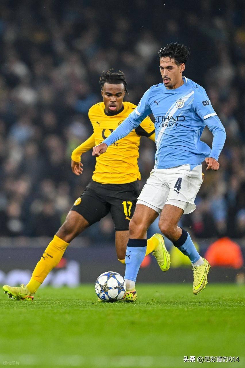 多米体育赛事-20242025德甲积分榜